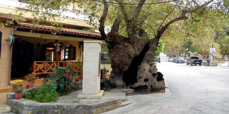 El Greco Museum